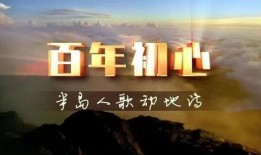 爆料大连新闻的视频播放,最新爆料事件深度解析