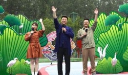 国安欠费最新爆料视频,揭秘巨额债务背后的真相