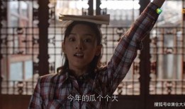 娱乐圈的吃瓜人是谁,揭秘幕后真相的神秘推手